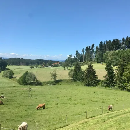 Schottenhof Walser 1 - Alleinlage Im Gruenen Mit Panoramablick Apartment Achberg
